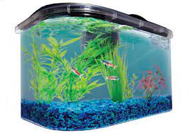 بانک اطلاعات تولید آکواریوم