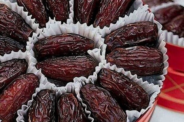 صنایع مرتبط با خرما و آبزیان در استان بوشهر حمایت میشوند