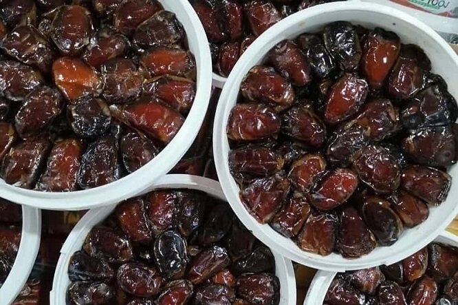 تهاتر خرمای کبکاب با میوه‌های گرمسیری ابلاغ شد