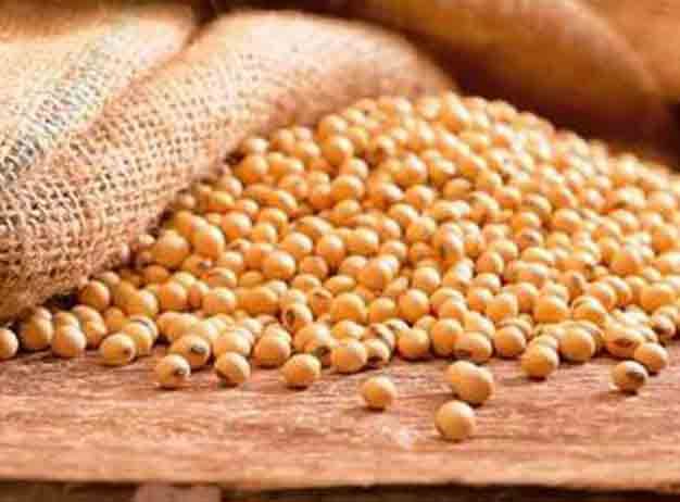 آمار تولید دانه روغنی سویا از سال ۱۳۸۰ الی ۱۳۹۳