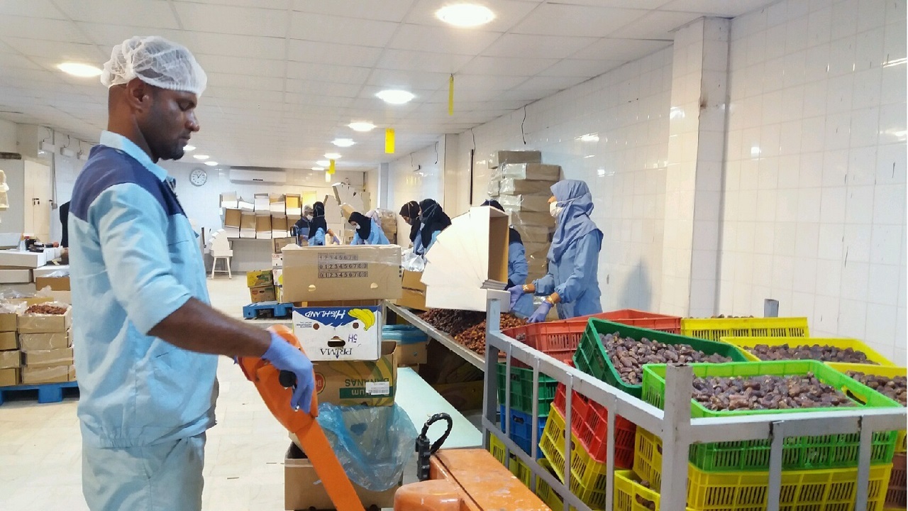 دستگاه بسته بندی خرما