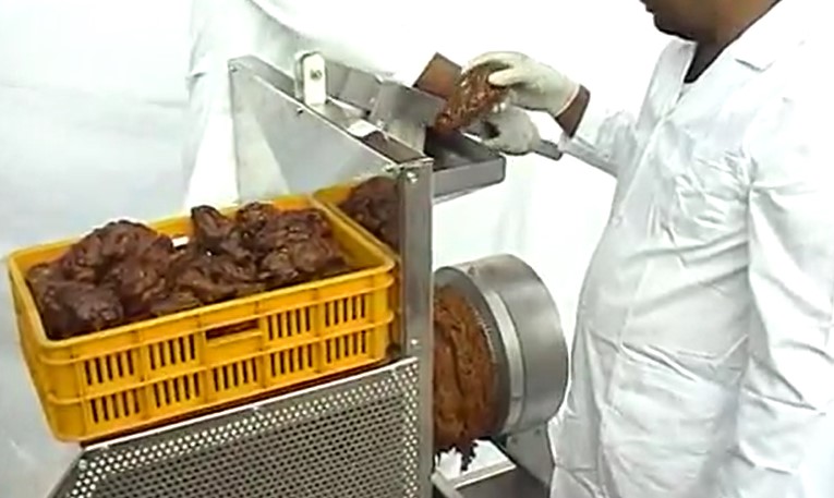 تولید خمیر خرما