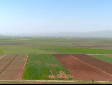 کارخانه خوراک دام و طیور روانسر بعنوان بزرگترین واحد تولیدی غرب کشور