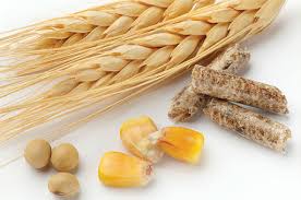 نهاده‌های دام و طیور