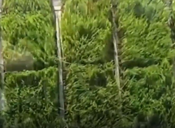 فناوری کشاورزی، مهندسی کشاورزی، کشاورزی تراکتور