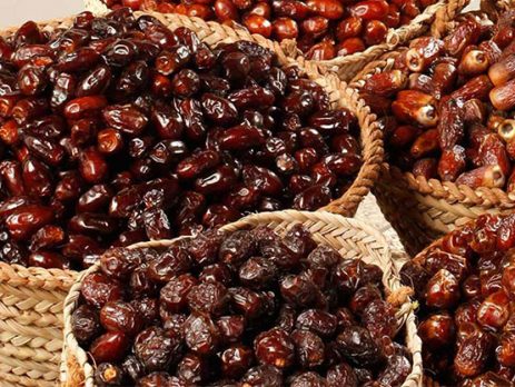 سخنان دکتر صالحی سور مقی درباره خرما و خواص آن 