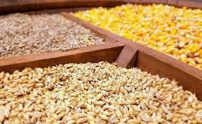 فیلم جالب از پلت کردن خوراک دام و طیور