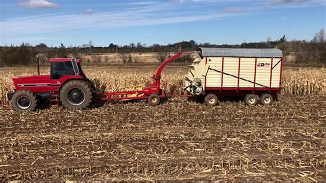 مراحل کاشت ، داشت و برداشت گیاه جو