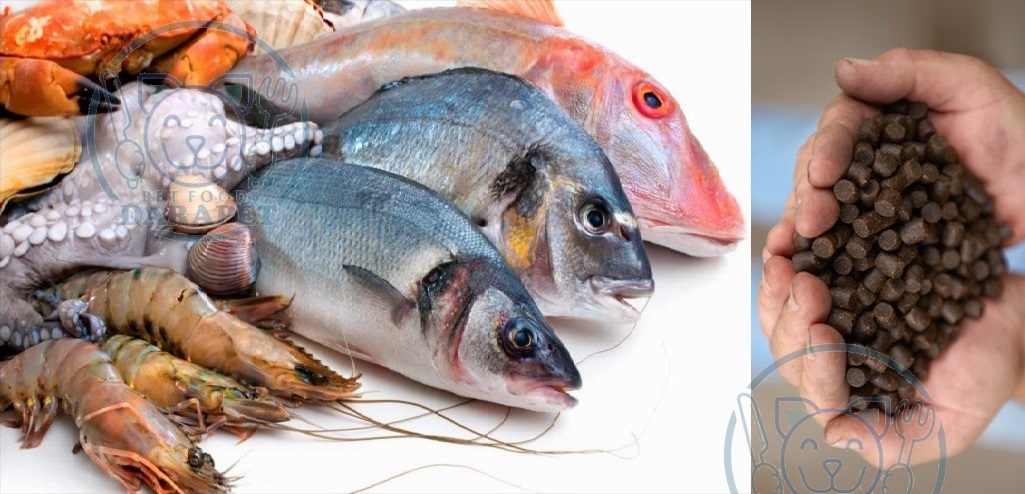 وکیوم کوترهای پیشرفته - خوراک آبزیان، طیور و حیوانات خانگی