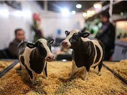 فیلم بررسی بیماری های دام و طیور