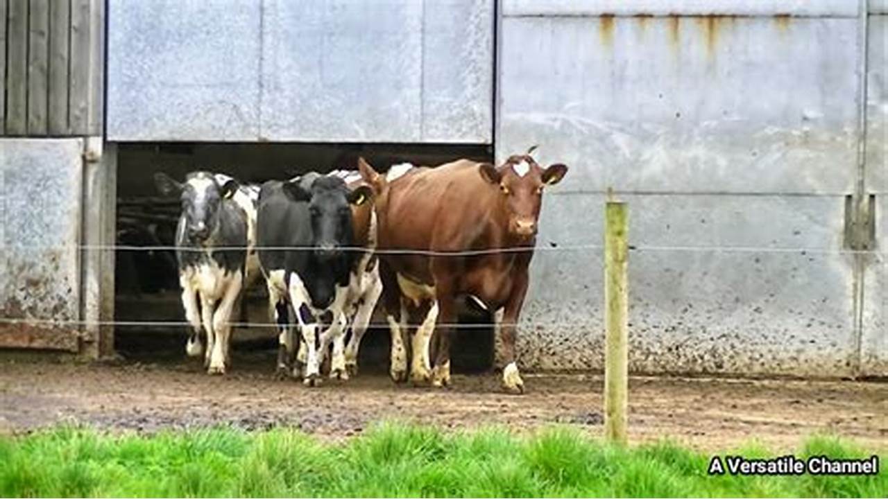 تقویم برگزاری نمایشگاه های خارجی دام و طیور و صنایع وابسته (2022 و 2023 میلادی)