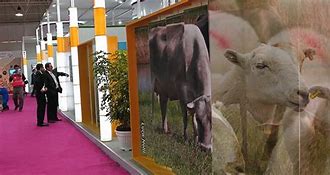 تقویم برگزاری نمایشگاه های داخلی دام و طیور و صنایع وابسته (سال 1401 شمسی)