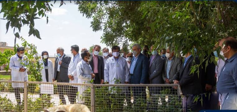 تحول در صنعت دامپروری با دانش زیست‌فناوری تولید مثل دام
