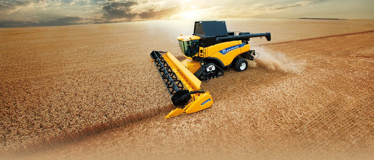 فوتیج ویدیویی از ماشین درو در حال برداشت گندم از مزرعه