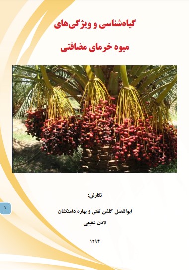 گیاهشناسی و ویژگیهای میوه خرمای مضافتی