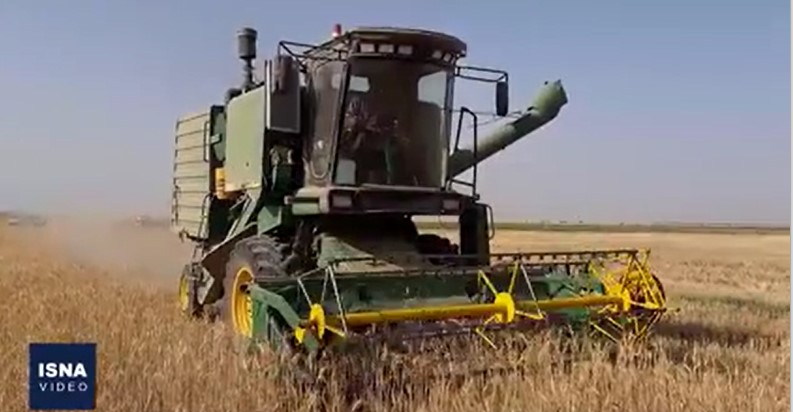 برداشت گندم در مناطق مختلف بوشهر