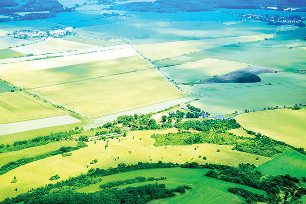 کشت محصولات کشاورزی خارج از مرزهای کشور