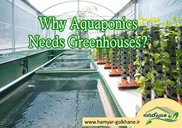 چرا روش آکواپونیک به گلخانه نیاز دارد: یک راهنمای کامل
