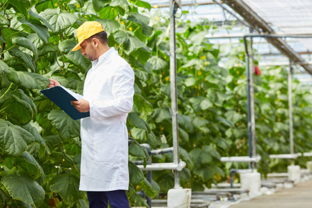 گلخانه داری و چالش های آن