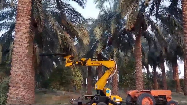 بالابر هیدرولیکی نخل