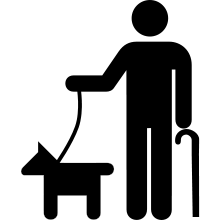 حیوانات خانگی