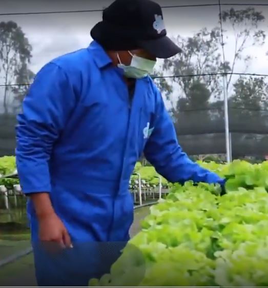 فناوری‌های نوین در صنعت کشاورزی