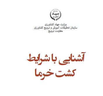 آشنایی با شرایط کشت خرما