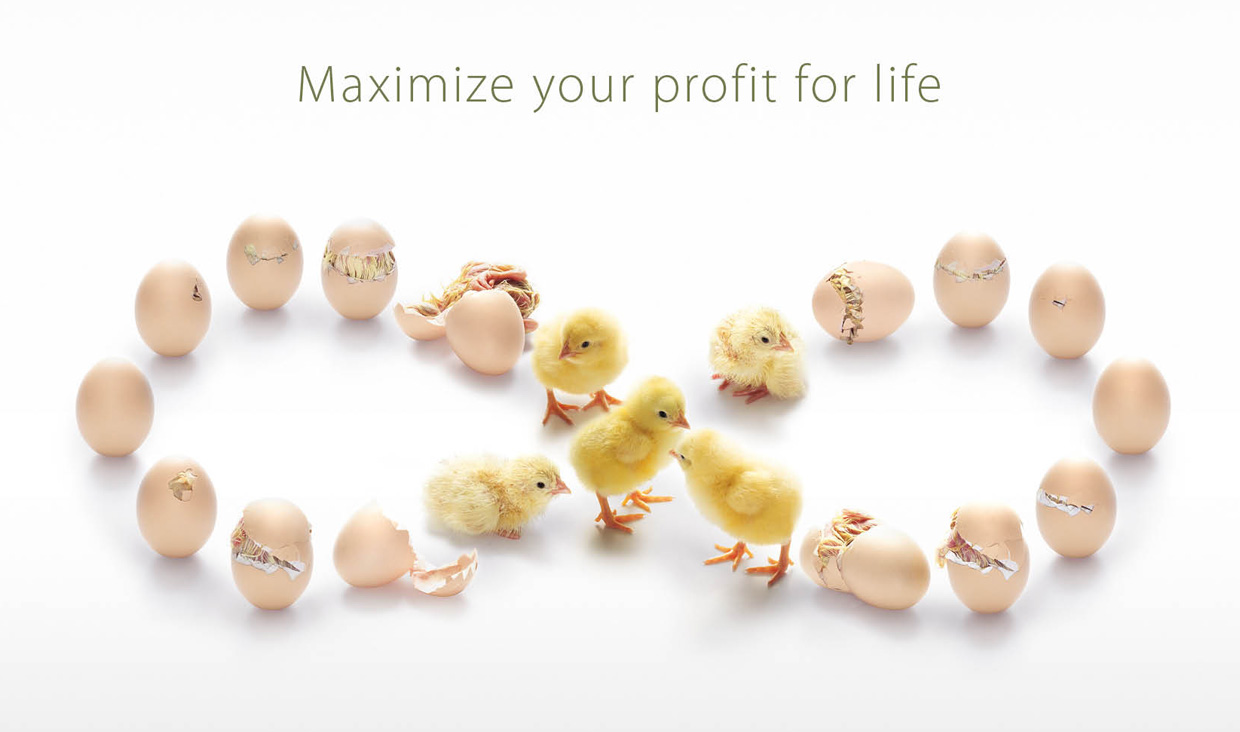 پیترسایم، قهرمان جوجه درآوری