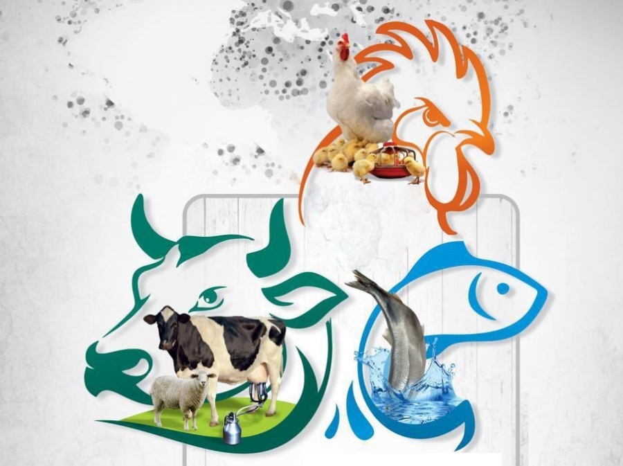 تکنولوژی های هوشمند