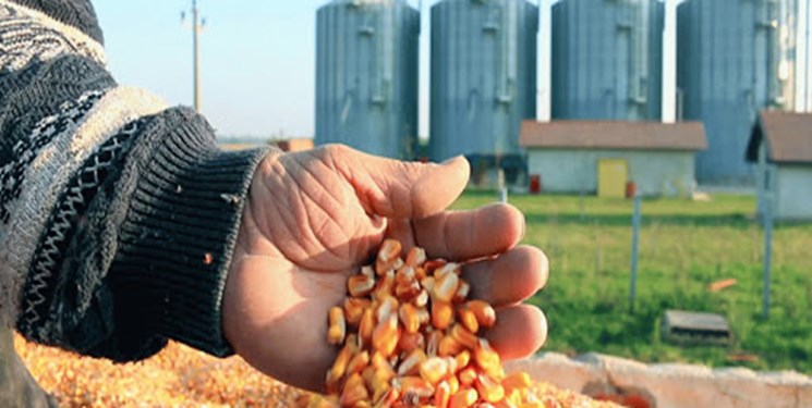 بازگشت به تولید واحد خوراک دام و طیور پس از ۱۲ سال/ ماهانه هزارتن خوراک تولید می‌شود